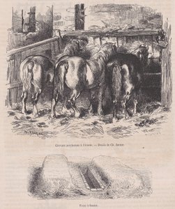 Percheron-hästar i stallet, Gödselgrop, från Magasin Pittoresque, ca. 1852., ca. 1852. av Charles Emile Jacque