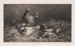 Kycklingar av Charles Emile Jacque