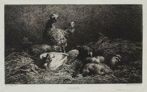 Kycklingar av Charles Emile Jacque