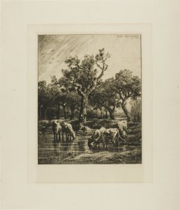 Kor på en vattningsplats av Charles Emile Jacque