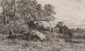Holländska kor, 1864. av Charles Emile Jacque