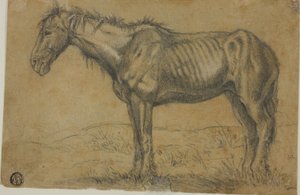 Avmagrad häst (recto); Frontalbild av en häst (verso) av Charles Emile Jacque