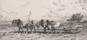 swedish av Charles Emile Jacque