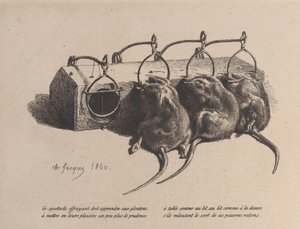 Musfälla, 1860. av Charles Emile Jacque