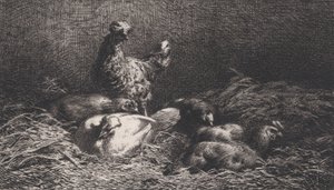 Höns, 1867. av Charles Emile Jacque
