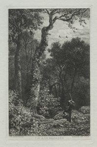 Att skjuta skogssnuppan av Charles Emile Jacque