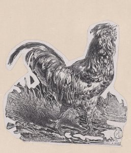 Tuppen, ca. 1853. av Charles Emile Jacque
