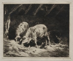 swedish av Charles Emile Jacque