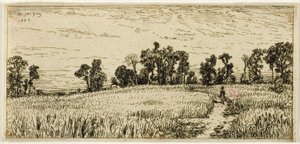 Vete fält av Charles Emile Jacque