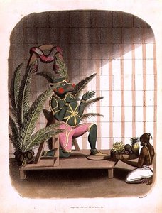 Hanuman, skylt 31 från 