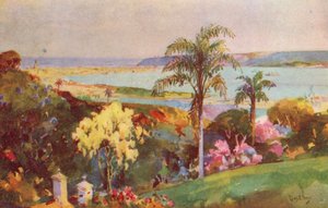 The Port of Natal, Durban (färglitografi)