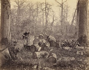 Fontainebleau-skogen av Charles Famin