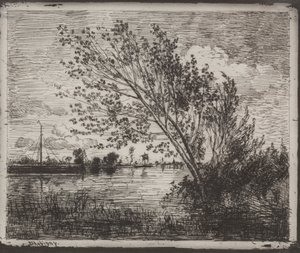 A Cluster of Alders, originalavtryck 1862, tryckt 1921. av Charles Francois Daubigny