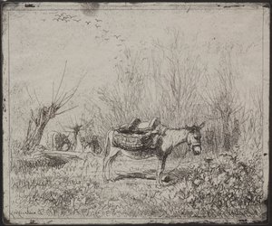 En åsna i fältet av Charles Francois Daubigny