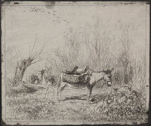 A Donkey in the Field, originalavtryck 1862, tryckt 1921. av Charles Francois Daubigny