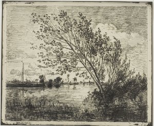 Klump av alrträd av Charles Francois Daubigny