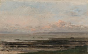 Havet vid lågvatten