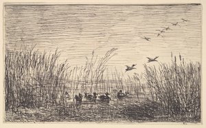 Ducks in the Marshes, [1862], omtryckt 1921. av Charles Francois Daubigny