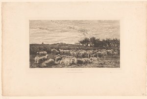 Landskap med fårhjord Parc à Moutons, le matin (titel på objekt) av Charles Francois Daubigny