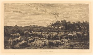 Stort fårhus av Charles Francois Daubigny