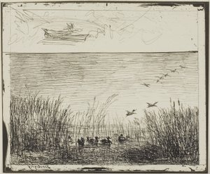 Marsh med ankor av Charles Francois Daubigny
