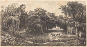 Pool med rådjur av Charles Francois Daubigny