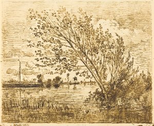 Stand of Alders av Charles Francois Daubigny