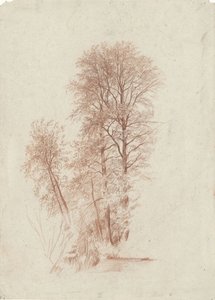 Studie av två smala och endast mindre träd i löv av Charles Francois Daubigny