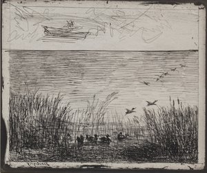 Träsk med ankor av Charles Francois Daubigny