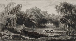 The Pool with Stags, 1845. av Charles Francois Daubigny