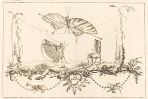 Fladdermusen av Charles Germain de Saint Aubin