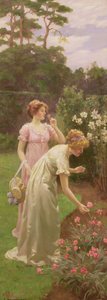 Två damer som plockar blommor