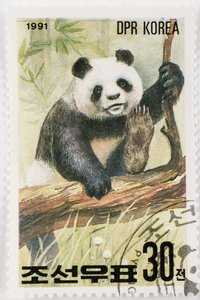 Frimärke/Nordkorea/Ailuropoda melanoleuca/Grand panda/Giant Panda