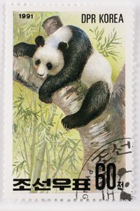 Frimärke/Nordkorea/Ailuropoda melanoleuca/Grand panda/Giant Panda
