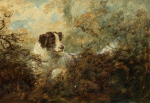 Hund (olja ombord)