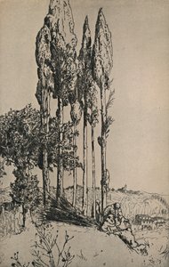 Cypresser nära Siena, 1903