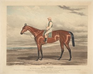 Hästkapplöpning: Blue Bonnet. Vinnaren av de stora St. Leger Stakes i Doncaster 1842 av Charles Hunt