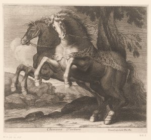 föda upp hästar Chevaux Tartare (titel på objekt) Djurserie (serietitel)
