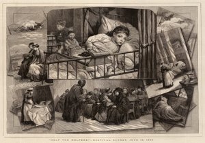 Hjälp hjälparna!, Sjukhussöndag, 13 juni 1880