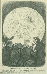 Microscopy for the Millions: 1878 (gravyr)