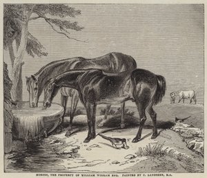 Hästar, egendom av William Wigram, Esquire