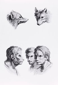 Likheter mellan huvudet på en varg och en man, från "Porträttbok för dem som börjar rita" av Le Brun av Charles Le Brun