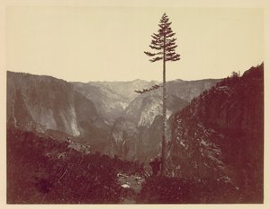 Yosemite Valley från Mariposa Trail, ca. 1865. av Charles Leander Weed