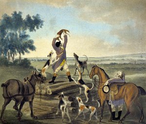 Who...op, Was Never So Carried, från The Pytchley Hunt, graverad av F. Dukes