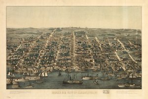 Fågelperspektiv över Alexandria, Va. LOC 81694373 av Charles Magnus