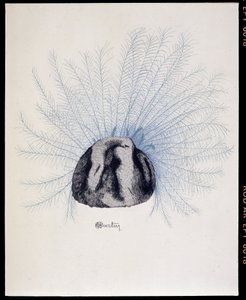 Faderad hatt - "La Mode en 1912" av Marcelle Demay, illustration av Charles Martin (1884-1934) av Charles Martin
