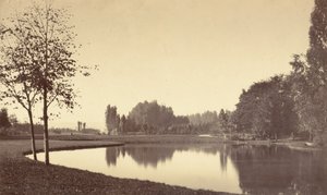 Bois de Boulogne, 1858 (foto) av Charles Marville