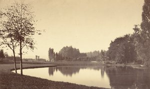 Bois de Boulogne, 1858. av Charles Marville