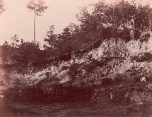 Stenbrott, 1850-53. av Charles Marville