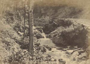 [Den schweiziska dalen i St. Goarshausen] av Charles Marville